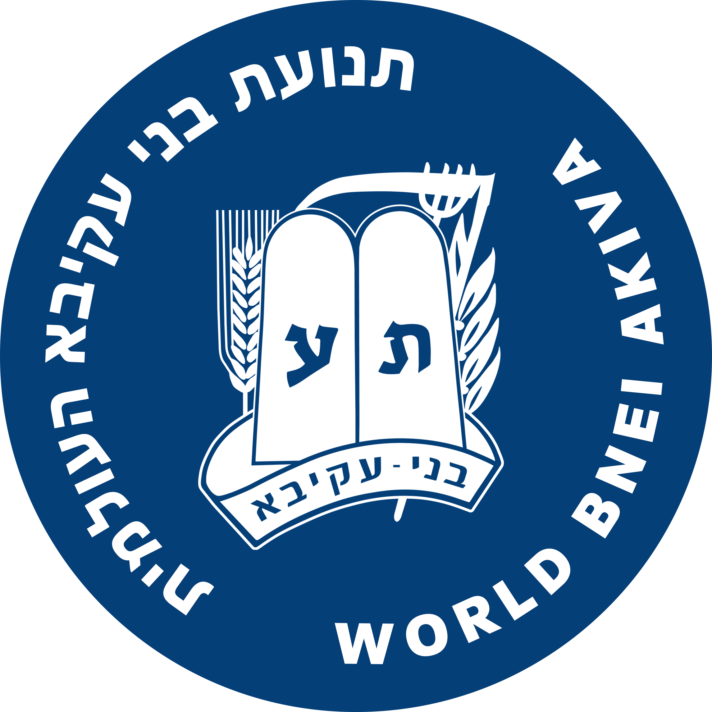 לוגו בני עקיבא העולמית