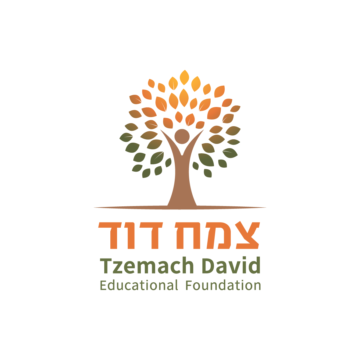 לוגו ארגון צמח דוד